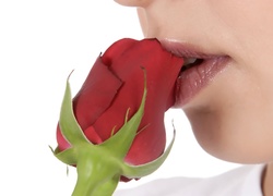 Kobieta, Usta, Czerwona, Róża