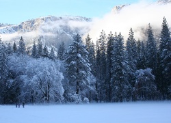 Śnieg, Mróz, Drzewa, Góry, Mgła