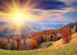 Jesienny, Krajobraz, Góry, Las, Promienie Słońca