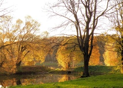 Park, Rzeka, Drzewa, Jesień