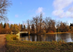 Park, Rzeka, Most, Jesień