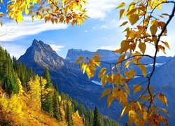 Jesień, Góry, Drzewa