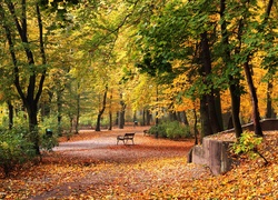 Park, Jesień, Ławki, Aleja
