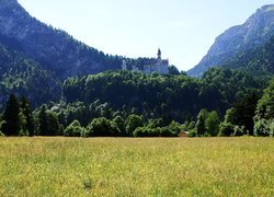Zamek, Neuschwanstein, Łąka, Zalesione, Góry