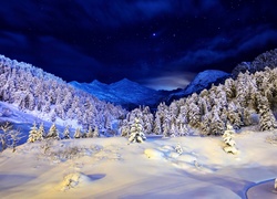Góry, Las, Śnieg, Noc
