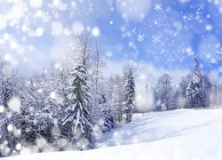 Drzewa, Śnieg, Zima, Gwiazdki