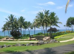 Park, Mostek, Palmy, Bali