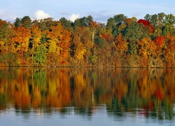 Kolorowe, Barwy, Jesieni, Jezioro, Odbicie