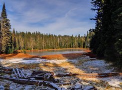 Jezioro, Las, Pierwszy, Śnieg