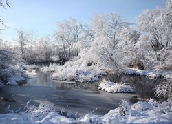 Rzeka, Ośnieżone, Drzewa, Zima