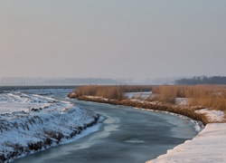 Rzeka, Trawa, Śnieg, Zima