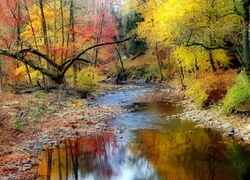 Barwy, Jesieni, Las, Rzeka, Kamienie, Odbicie