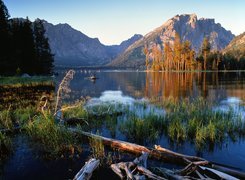 Jezioro, Góry, Roślinność, Jackson, Wyoming