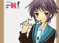 Suzumiya Haruhi No Yuuutsu, okulary