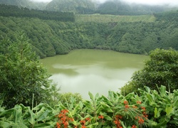 Jezioro, Zalesione, Góry, Kwiatki, Sao Miguel, Portugalia