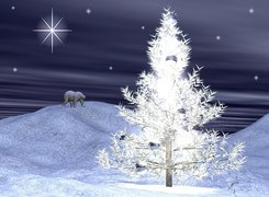 Boże Narodzenie,pierwsza gwiazdka, niedźwiedź , choinka