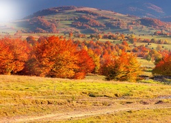 Góry, Pola, Drzewa, Jesień