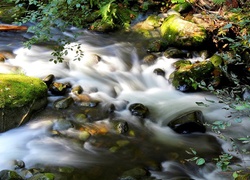 Rzeka, Kamienie