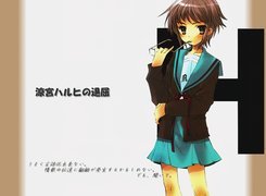 Suzumiya Haruhi No Yuuutsu, brązowy sweter, okulary