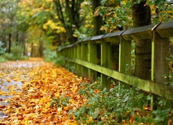 Park, Liście, Droga, Ogrodzenie, Jesień