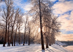 Wschód, Słońca, Park, Rzeka