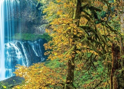 Wodospad, Skały, Kolorowe, Drzewa, Jesień