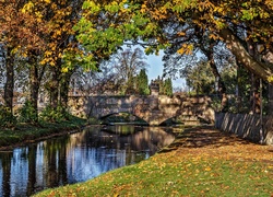 Rzeka, Most, Drzewa, Liście, Jesień