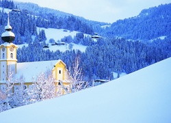 Kościół, Las, Śnieg