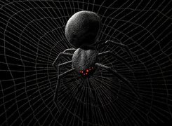 Halloween,pająk, pajęczyna