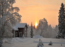 Dom, Drzewa, Zachód, Słońca, Zima