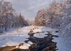 Rzeka, Zima, Las