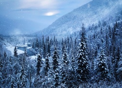 Las, Rzeka, Góry, Śnieg