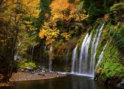 Las, Wodospad, Mossbrae Falls Kalifornia