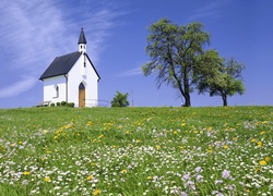 Kapliczka, Łąka, Drzewa