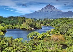 Las, Jezioro, Góra, Taranaki, Lato