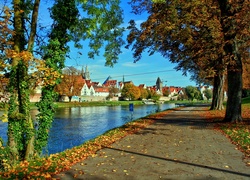 Jesień, Rzeka, Drzewa, Opadłe, Liście, Panorama, Miasteczka