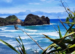 Morze, Skały, Roślinność, Przebijające, Światło, Piha, Beach