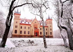 Pałac, Śnieg, Drzewa