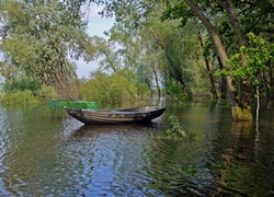 Łódka, Jezioro, Drzewa