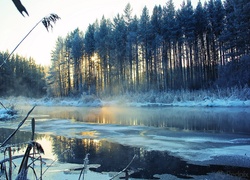 Rzeka, Śnieg, Drzewa