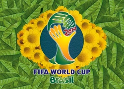 Brasil, 2014, Brazylia, Mistrzostwa, Świata