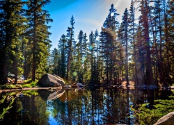 Stany Zjednoczone, Stan Kalifornia, Park Narodowy Yosemite, Góry, Lasy, Jezioro, Kamienie