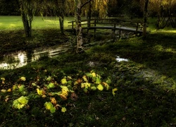 Park, Rzeczka, Mostek