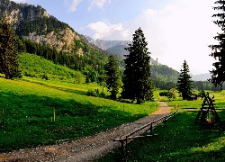 Góry, Ruiny, Zamku, Ścieżka, Schwangau, Niemcy