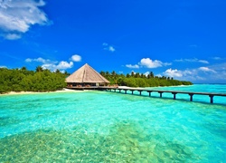 Molo, Morze, Las, Malediwy