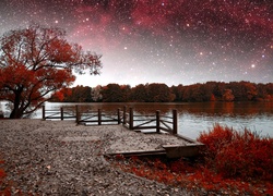 Jezioro, Pomost, Gwiazdy, Drzewa