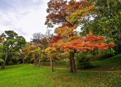 Jesień, Park