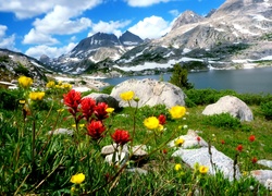 Góry, Jezioro, Kamienie, Czerwone, Żółte, Kwiaty