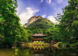 Pagoda, Góry, Lasy, Jezioro, Chiny