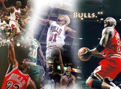 Koszykówka,Bulls